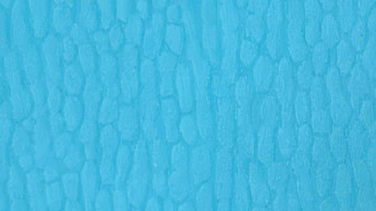 Close view of a material texture used as a physical sample reference